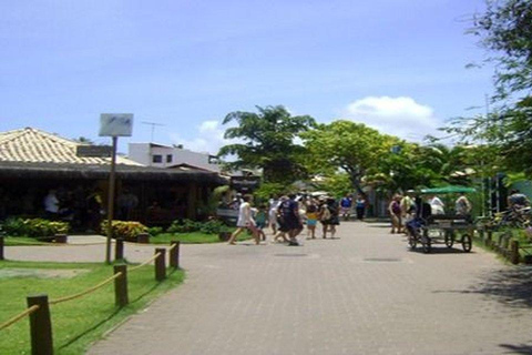 From Salvador: Praia do Forte and Guarajuba Day Trip