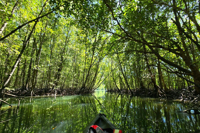 Langkawi: Mangrove Kayak Tour with Wildlife Spotting