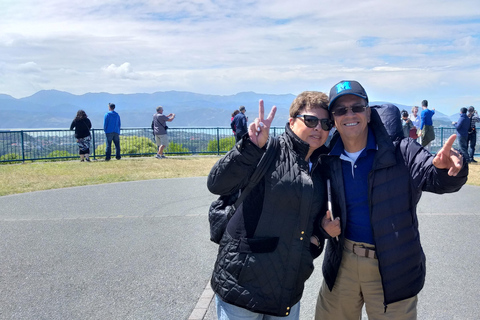 Wellington: Tour guiado na cidade com passeio de teleférico