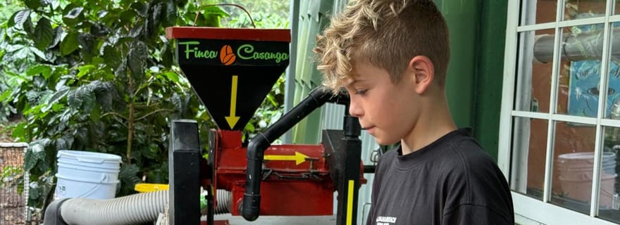 Boquete : Expérience pratique de café avec dégustation