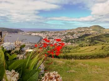 Horta, Isla de Faial: Tour de medio día