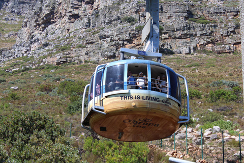 Cape Town: Table Mountain, Bo-Kaap, & Boulders Beach Tour