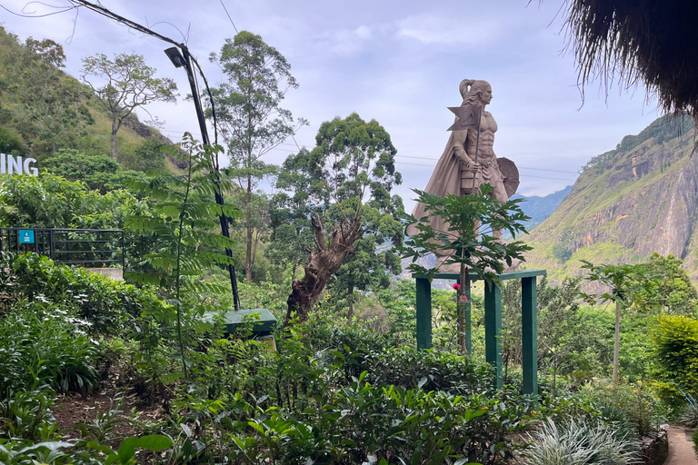 Explorez Ella : randonnée sur les rochers, boucle, cascades, neuf arches et vue sur le trainDécouvrez Ella : randonnée dans les rochers, boucle, chutes d&#039;eau, neuf arches et vue