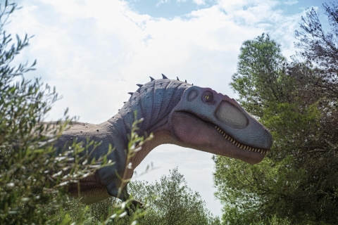 Z Palma de Mallorca: wycieczka do krainy dinozaurów