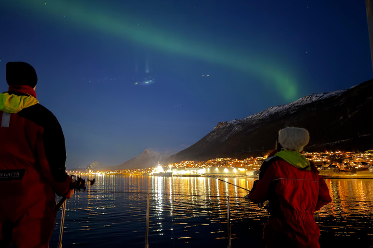 Tromsø: Nocturnal cod fishing with meal.