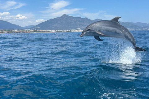 Marbella: Sailing & Dolphin Watching with Snacks and Drinks Private tour on Nereus Catamaran