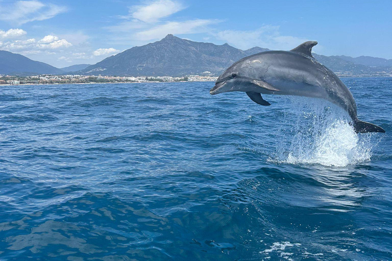 Marbella: Sailing & Dolphin Watching with Snacks and Drinks Private tour on Nereus Catamaran