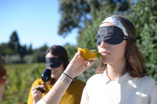 Introduction to Geosensory Tasting in Beaucaire