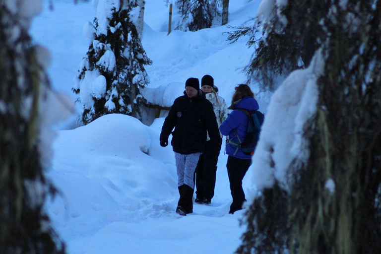 Rovaniemi : excursion au canyon de Korouoma et aux chutes d&#039;eau gelées