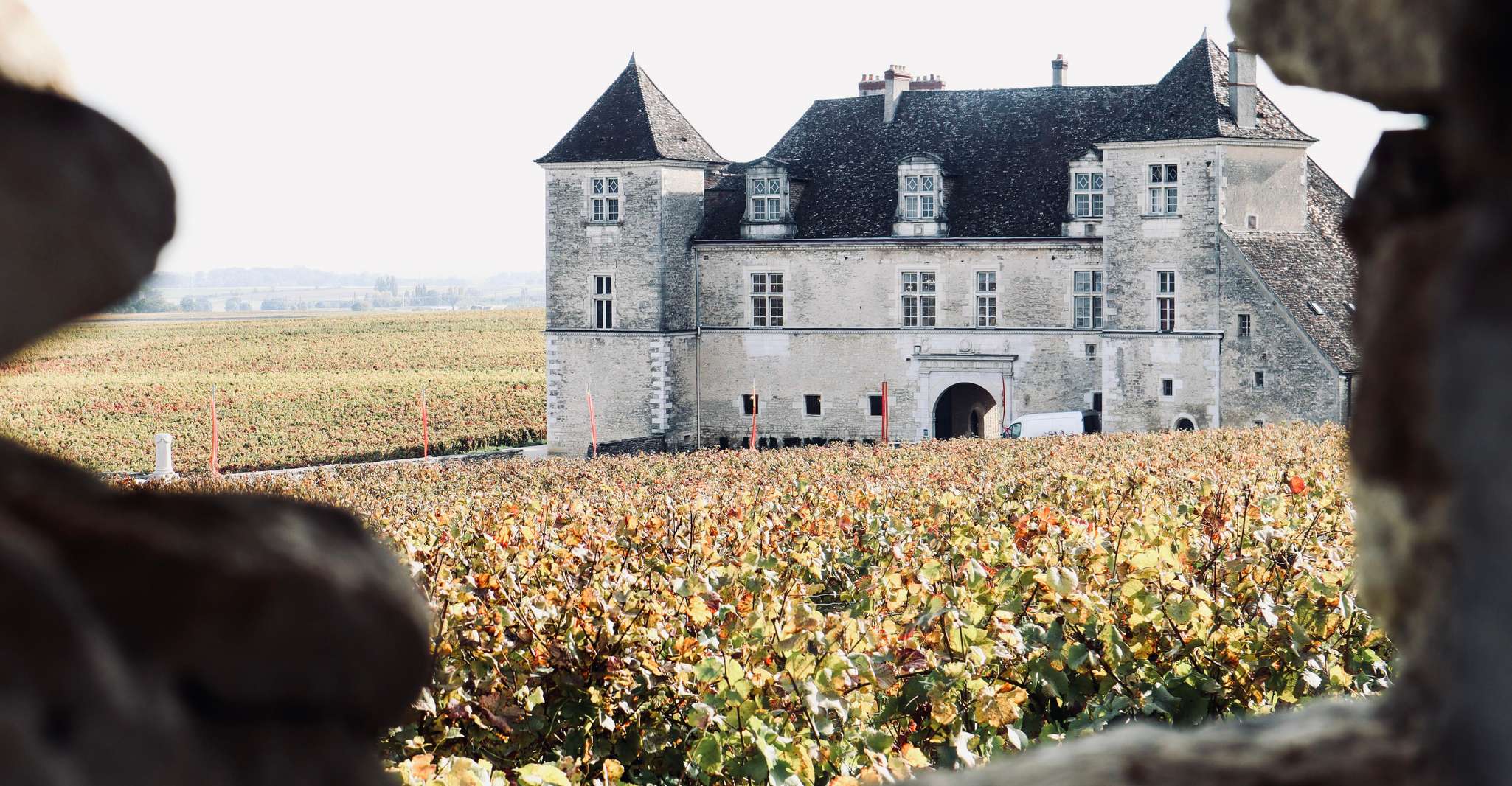 Côte de Beaune and Côte de Nuits , Private Full day Winetour - Housity