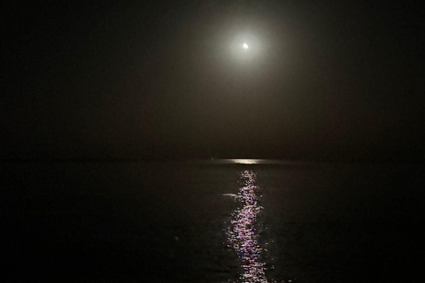 Guided Night Desert Safari in Qatar: Moonlit Dunes, Stars