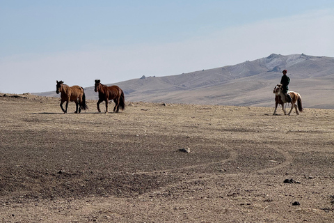 2-Day Elsen Tasarhai/Sand Dune hills & Nomadic Experience
