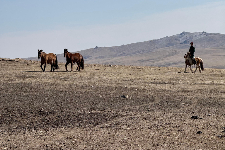 2-Day Elsen Tasarhai/Sand Dune hills & Nomadic Experience