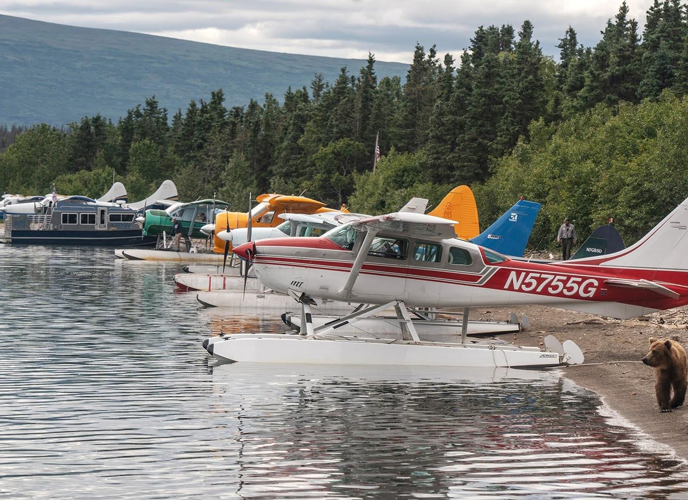 Brooks Falls: Katmai National Park Bear View fra vandfly