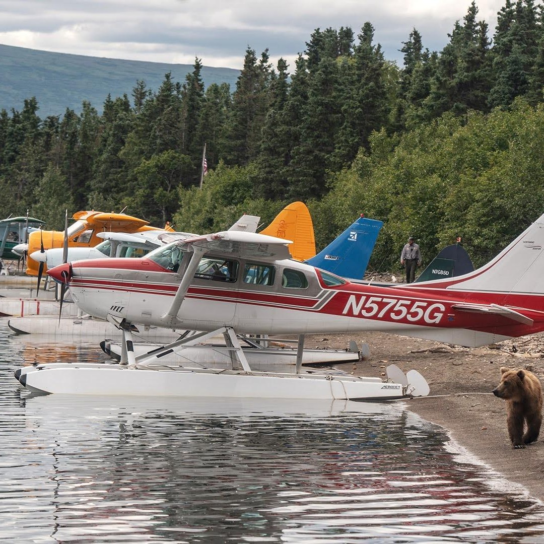 布鲁克斯瀑布：卡特迈国家公园熊观赏之旅（浮翼飞机） | GetYourGuide, image size:1080x1080