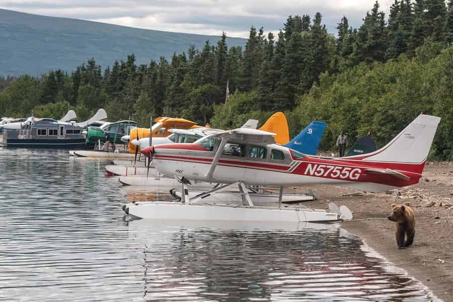 Brooks Falls: Katmai-Nationalpark-Bärenbeobachtung mit dem Wasserflugzeug. Foto: GetYourGuide
