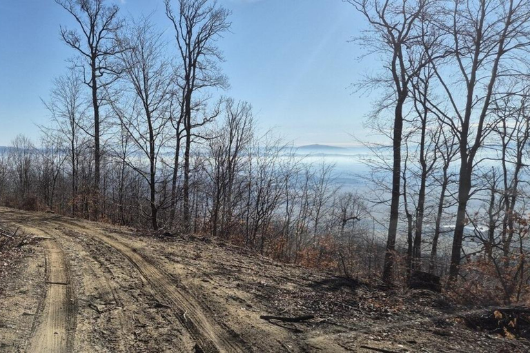 Brasov: Szeklerland-motortour met lunchKleine gedeelde groep