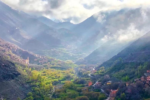 Da Marrakech: Escursione di un giorno sulle montagne dell&#039;Alto Atlante e sulle 4 valli