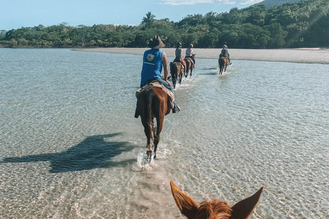 Puerto Plata: Horseback Riding Tour with Beach Views