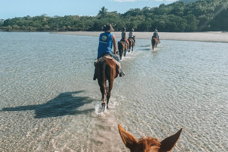 Puerto Plata: Horseback Riding Tour with Beach Views