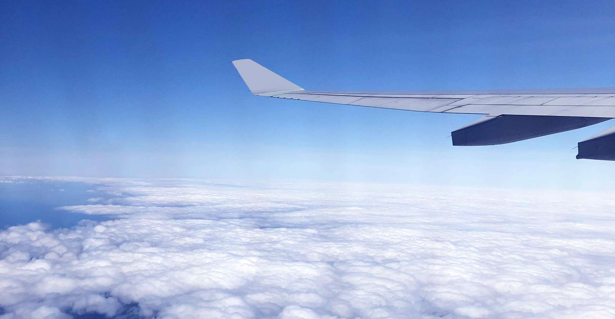 Taoyuan Airport: Layover Taipei City Tour