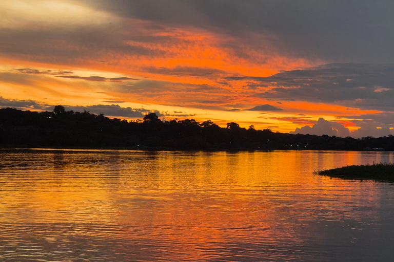 Manaus: Private Amazon Sunset and Night Tour by Speedboat