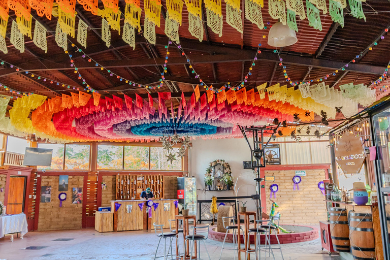 Oaxaca: Sustainable Mezcal Tour at an Award-Winning Family Distillery