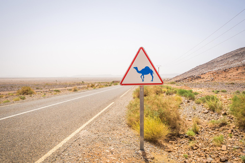 4-Day Private Desert Trip to Zagora & Merzouga From Agadir
