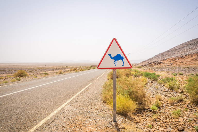 4-Day Private Desert Trip to Zagora & Merzouga From Agadir