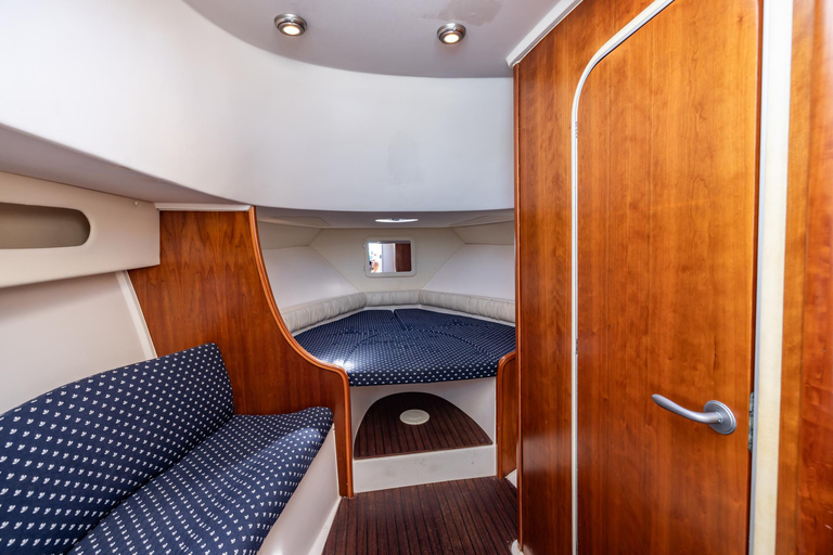 Frankfurt am Main: Private boat tour for up to 10 guests with skyline view