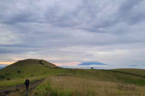 Santa Ana: wędrówka po wulkanie San Marcelino z lokalnym przewodnikiem.