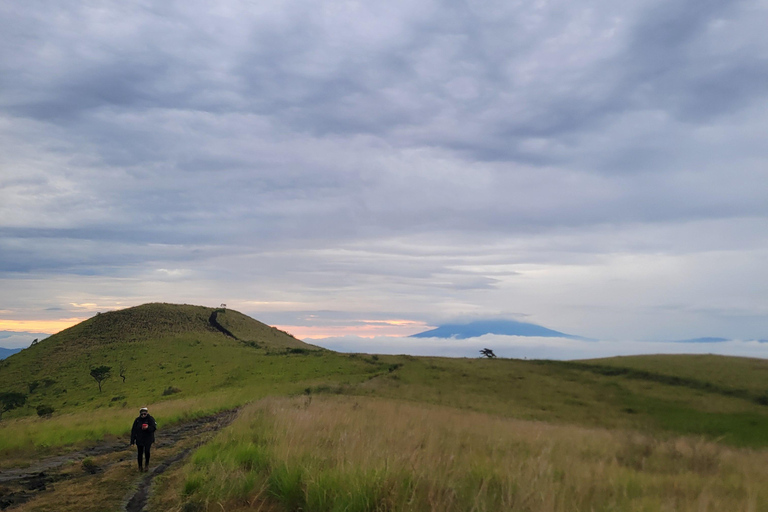Santa Ana: wędrówka po wulkanie San Marcelino z lokalnym przewodnikiem.