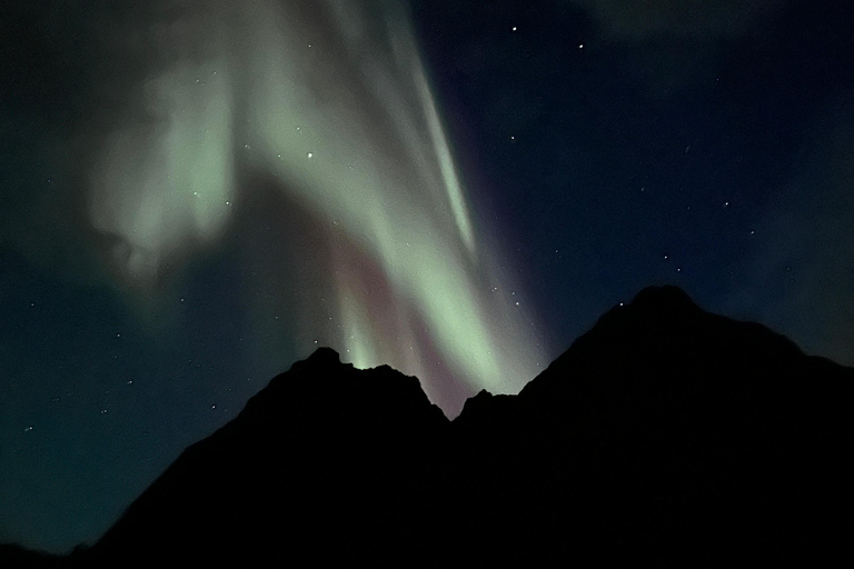 Tromsø: Private Northern Lights Chase with a Local Guide