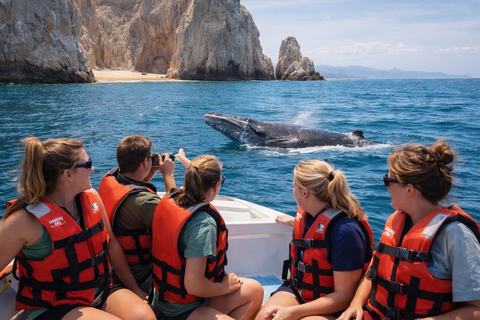 Cabo San Lucas Tour | Arch, Lover’s Beach & Whale Waching