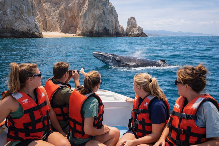 Cabo San Lucas Tour | Arch, Lover’s Beach & Whale Waching