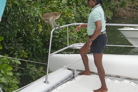 Catamaran Cruise to Ile aux Cerfs & GRSE Waterfall