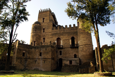 Addis Abeba: 10-dniowa wycieczka w góry Simien i Lalibela