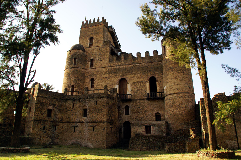 Addis Abeba: 10-dniowa wycieczka w góry Simien i Lalibela