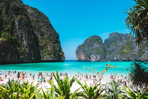 Phuket: Phi Phi, Maya Bay & Khai Speedboat Tour (Full Day) Meet up at the pier (No Hotel Transfer)