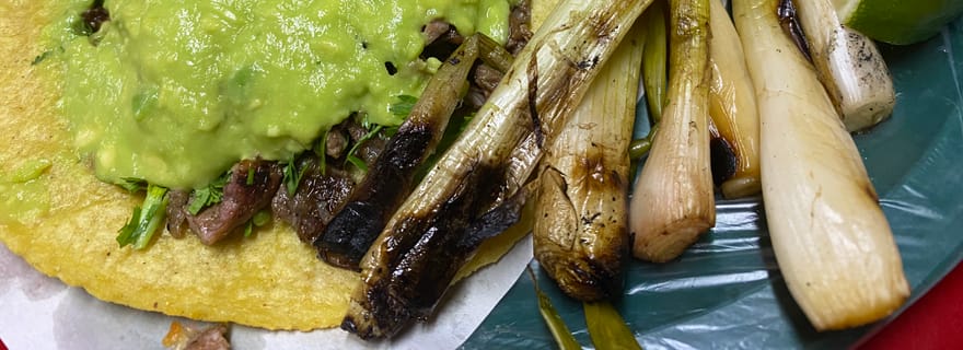 Tour des vins et des tacos à Ensenada. Tout compris !