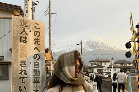 From Tokyo: Mount Fuji Private Customizable Tour with Guide