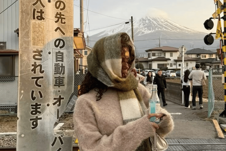 From Tokyo: Mount Fuji Private Customizable Tour with Guide