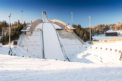 Skip-the-line Holmenkollen Ski Museum Oslo Tour & Transport