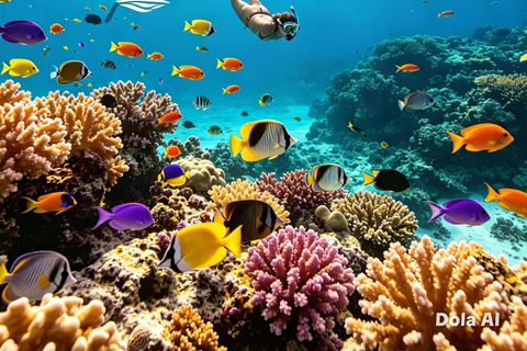 From Santa Marta: Free Diving in Tayrona National Park Free Diving in Tayrona National Park