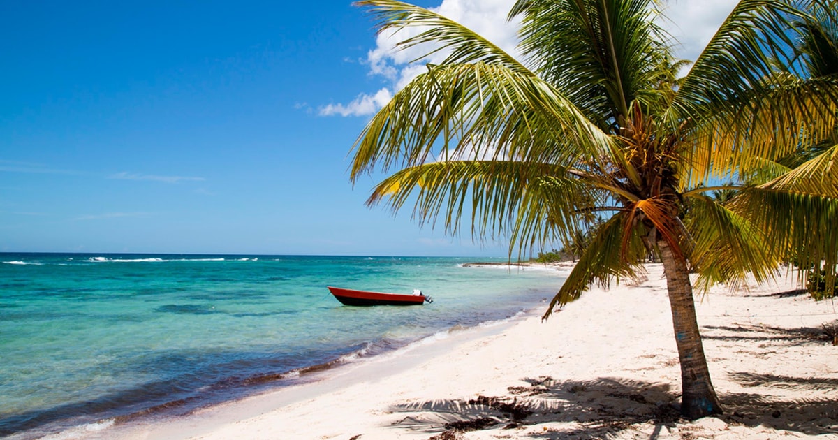 Privato: Isola di Saona Premium & Mano Juan Day Escape | GetYourGuide