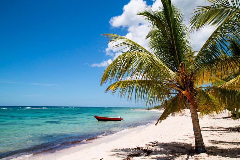 Private: Saona Island Premium &amp; Mano Juan Day Escape