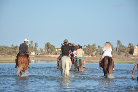 Aproveite a aventura de 2,5 horas com cavalos e camelos