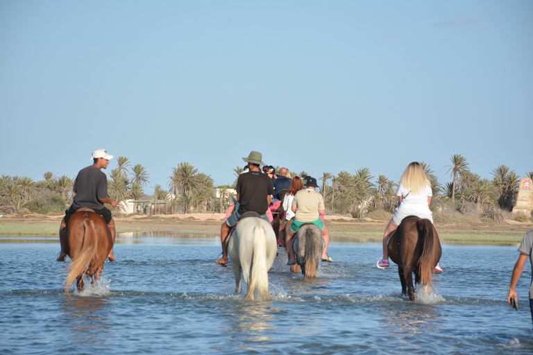 Vivez l&#039;aventure pendant 2,5 heures avec des chevaux et des chameaux.