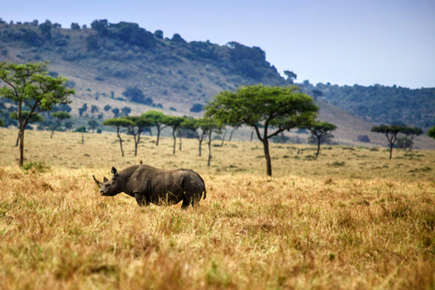 Safari di 3 giorni e 2 notti nella riserva di Olpejeta
