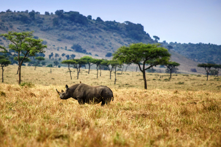 Safari di 3 giorni e 2 notti nella riserva di Olpejeta